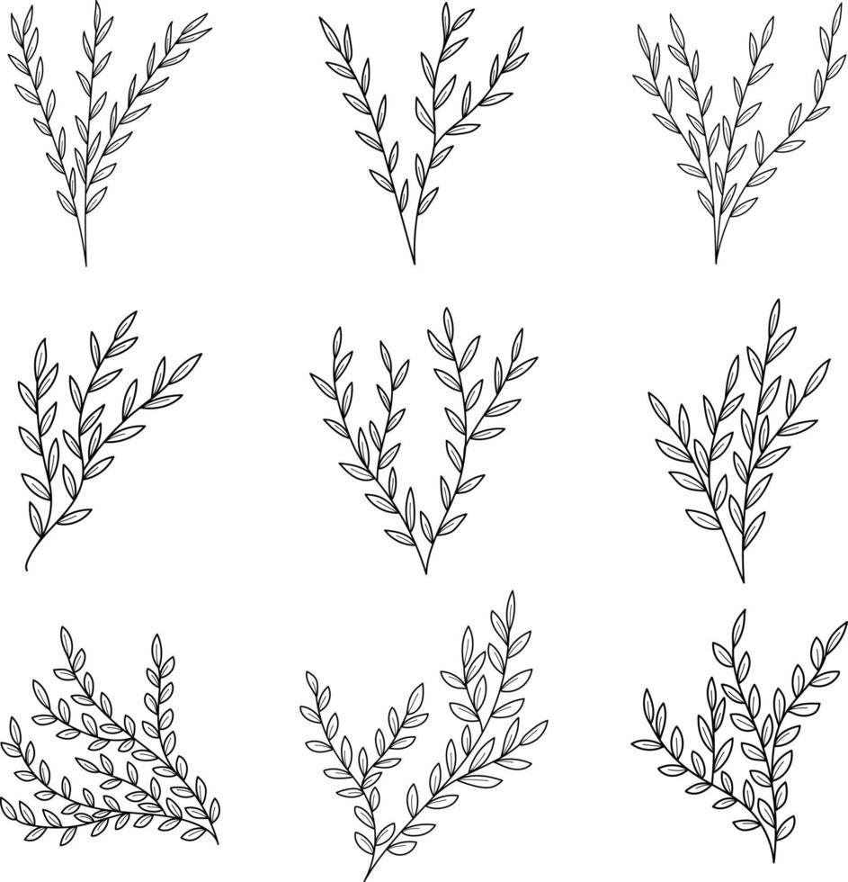 Floral Ornament in Outline Style vector