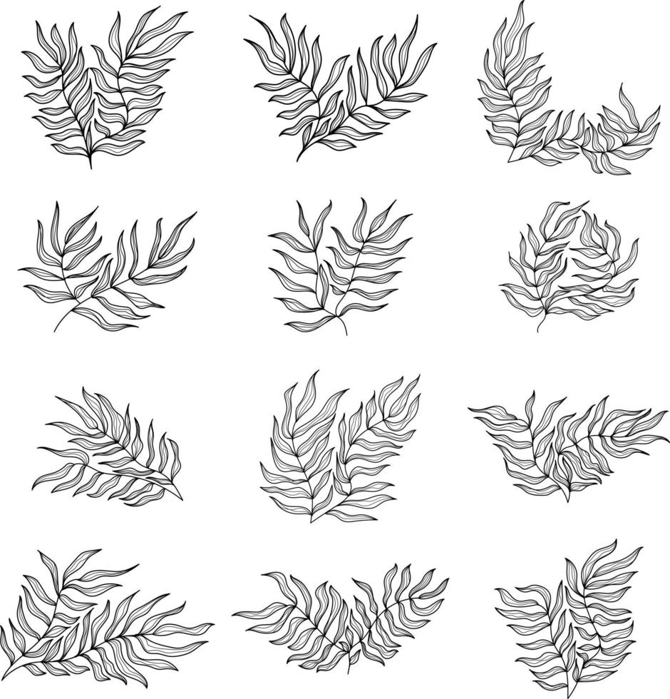 Floral Ornament in Outline Style vector