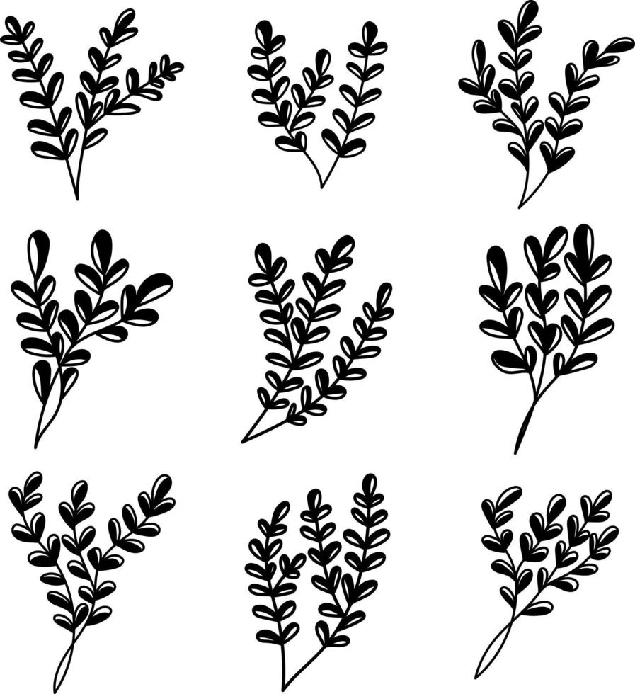 Floral Ornament in Outline Style vector