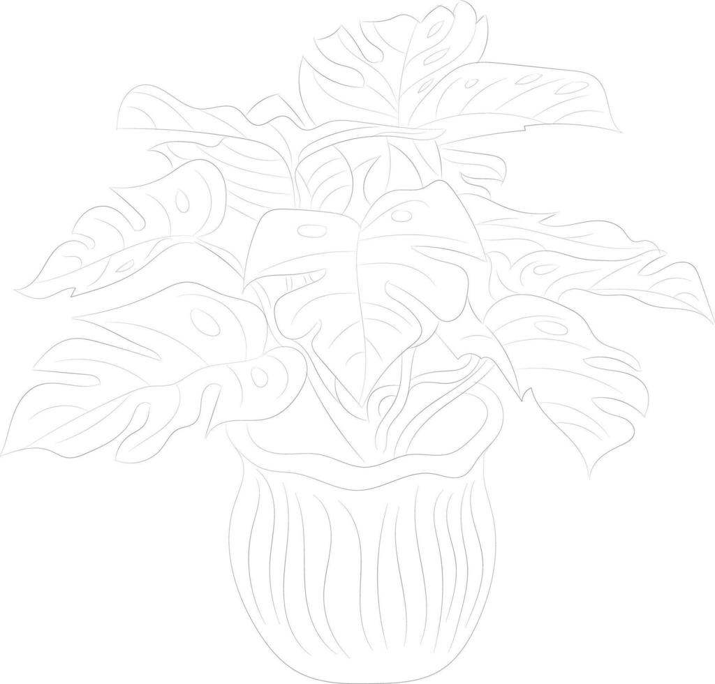 Isolated tree rose flower hand drawing line art with leaves vector