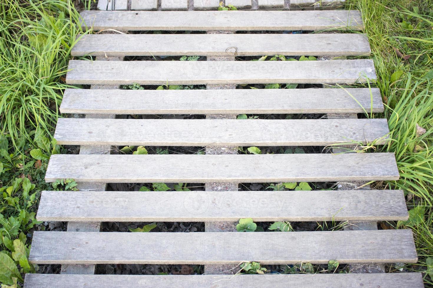 Wooden pallet planks with grass and wild flowers, copy space background photo