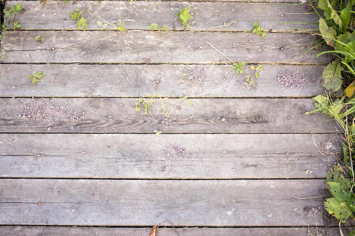 Wooden pallet planks with grass and wild flowers, copy space background photo