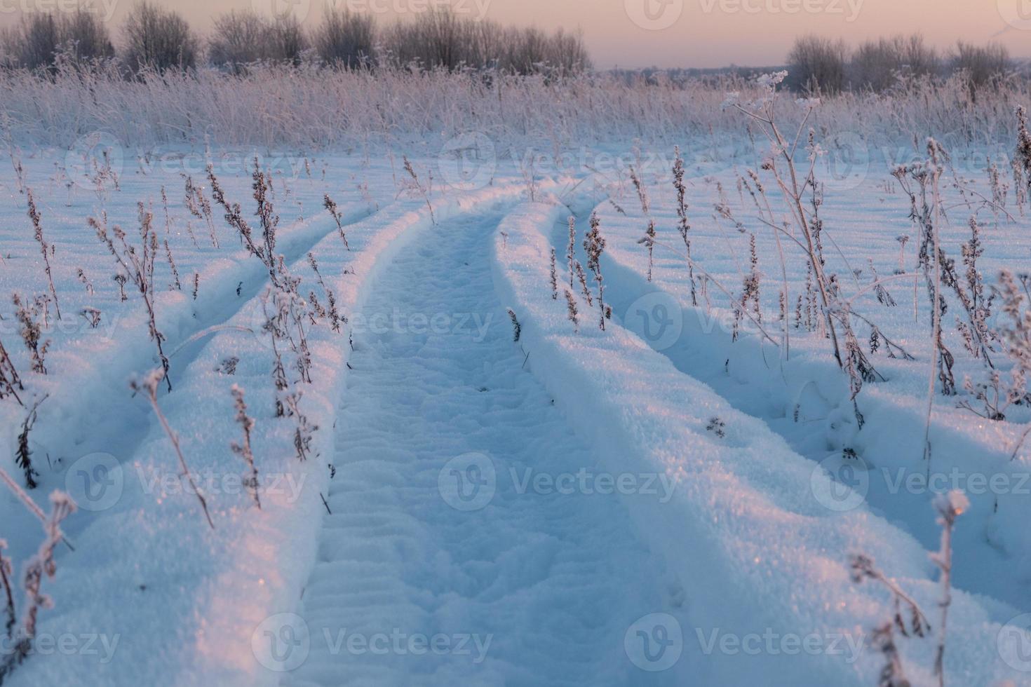Frozen trees and snowy land road at winter photo