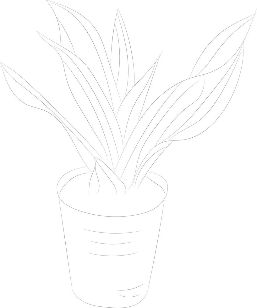 Isolated tree rose flower hand drawing line art with leaves 9206533 ...