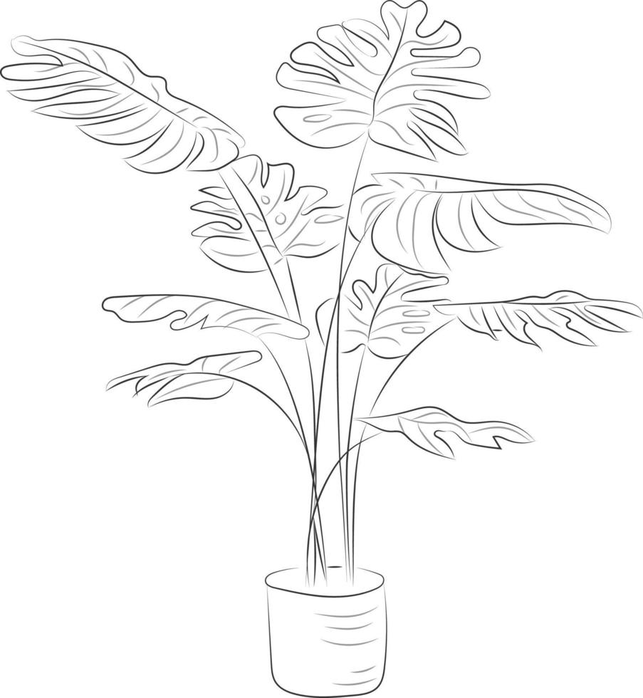 Isolated tree rose flower hand drawing line art with leaves vector
