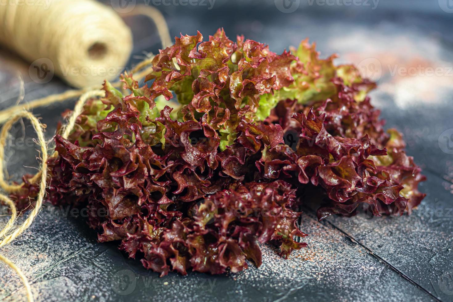 Leaves of green and red lettuce. Spring harvest, benefits and vitamins. On a dark background. photo