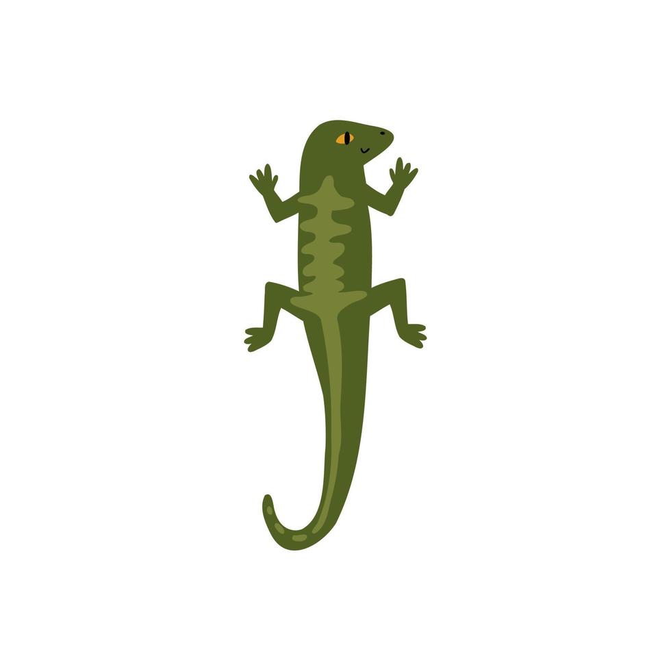 hand drawn lizard in flat style. baby illustration vector
