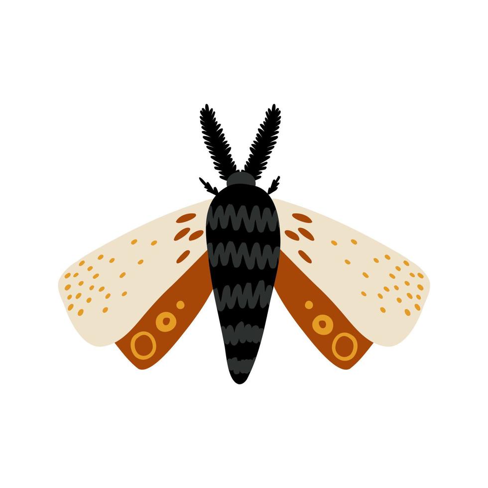 hand drawn moth in flat style. children's illustration vector