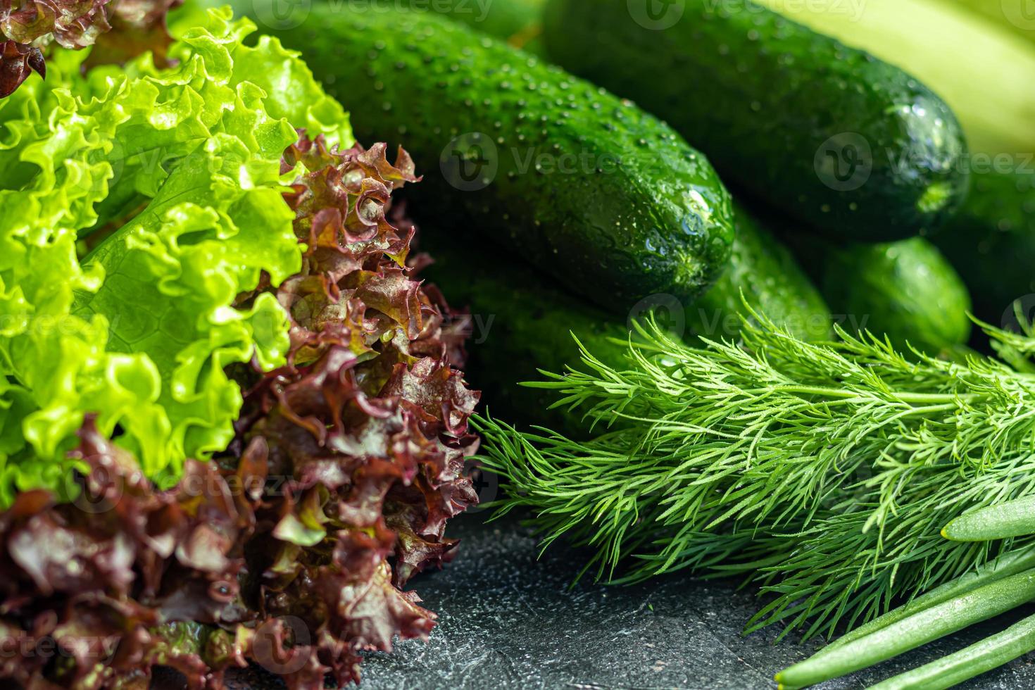 Fresh vegetables for salad. Tomatoes and lettuce, cucumbers with zucchini and cabbage with dill. Spring harvest, benefits and vitamins. On a dark background. photo