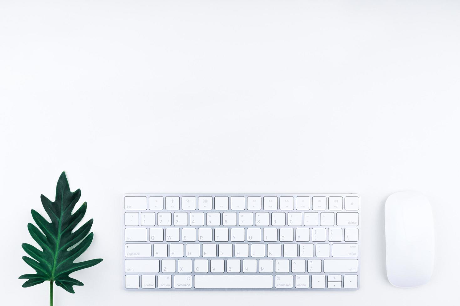 office table or office desk. There are white computer keyboard, white mouse and green monstera leaf photo