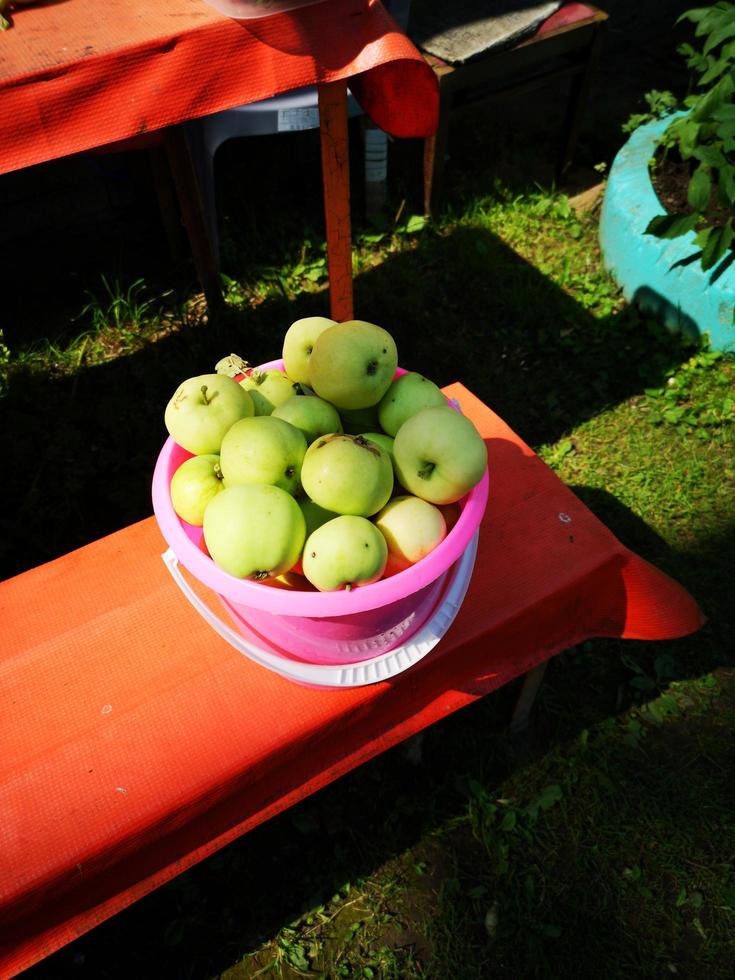 A bucket of apples is on the bench photo