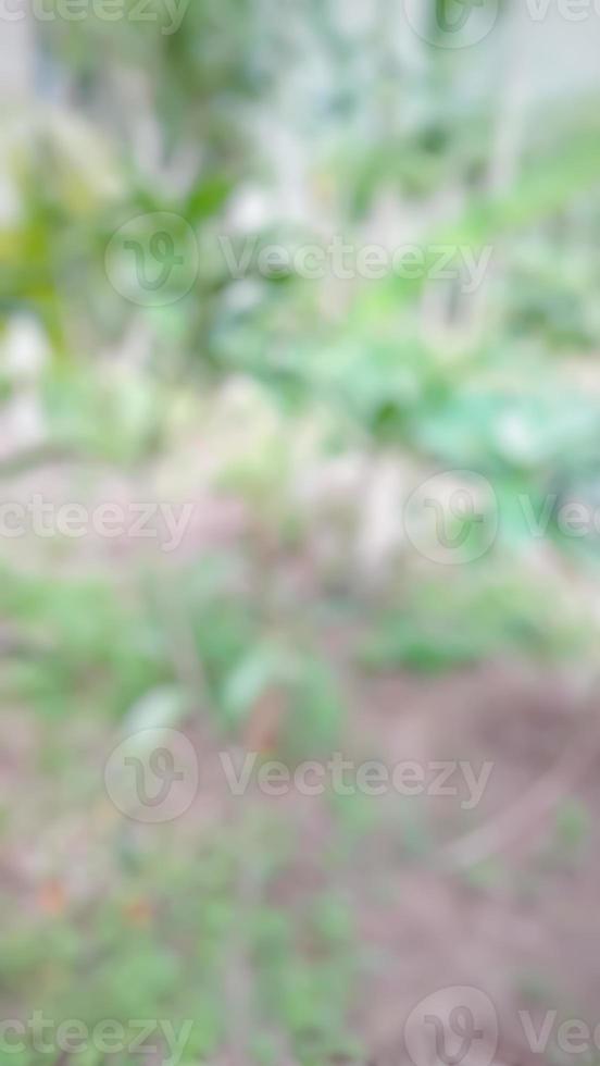 Defocused, blur abstract background.for mobile app. photo