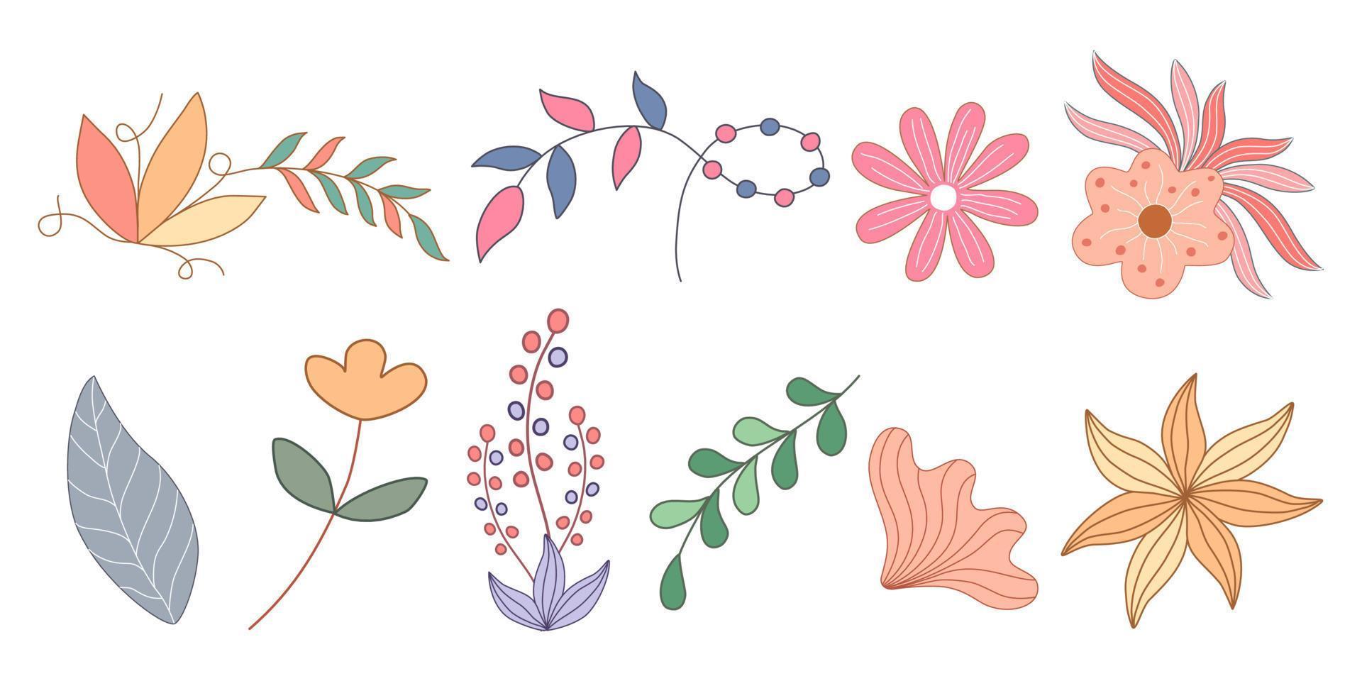 Daisy and leaves SVG, PNG. Hand drawn doodle flowers