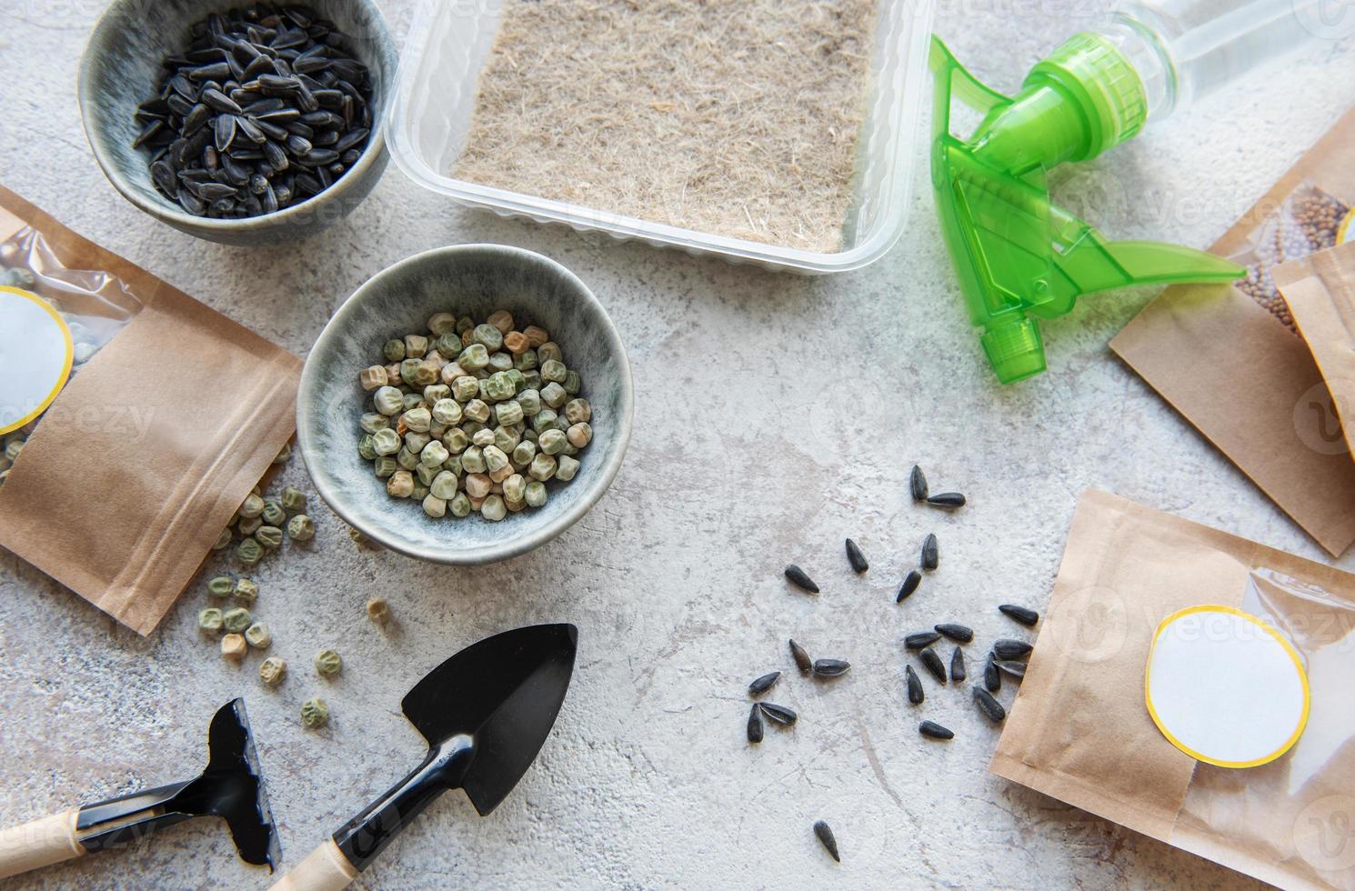 Microgreen seeds in paper bags and equipment for sowing microgreens. photo