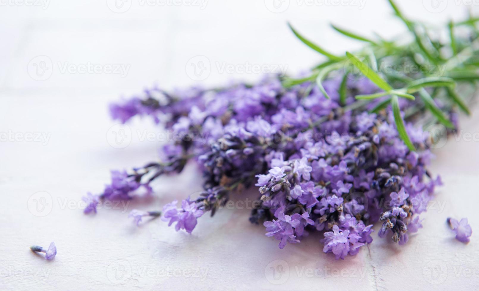 ramo de flores frescas de lavanda foto