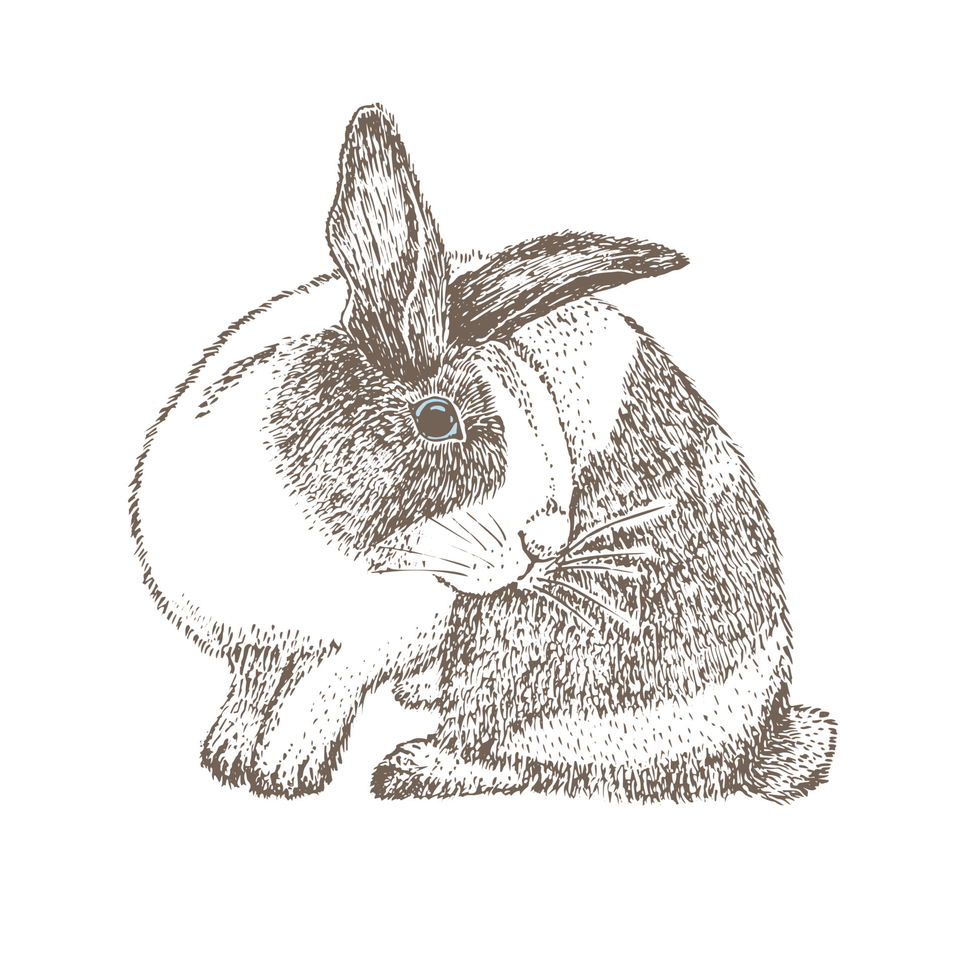 Cute Small Fluffy Rabbit Easter Bunny The Pet Is A Decorative Rabbit  Bunny Rabbit Linear Drawing Of A Bunny Template For Coloring Outline  Hand Drawing Royalty Free SVG Cliparts Vectors And Stock