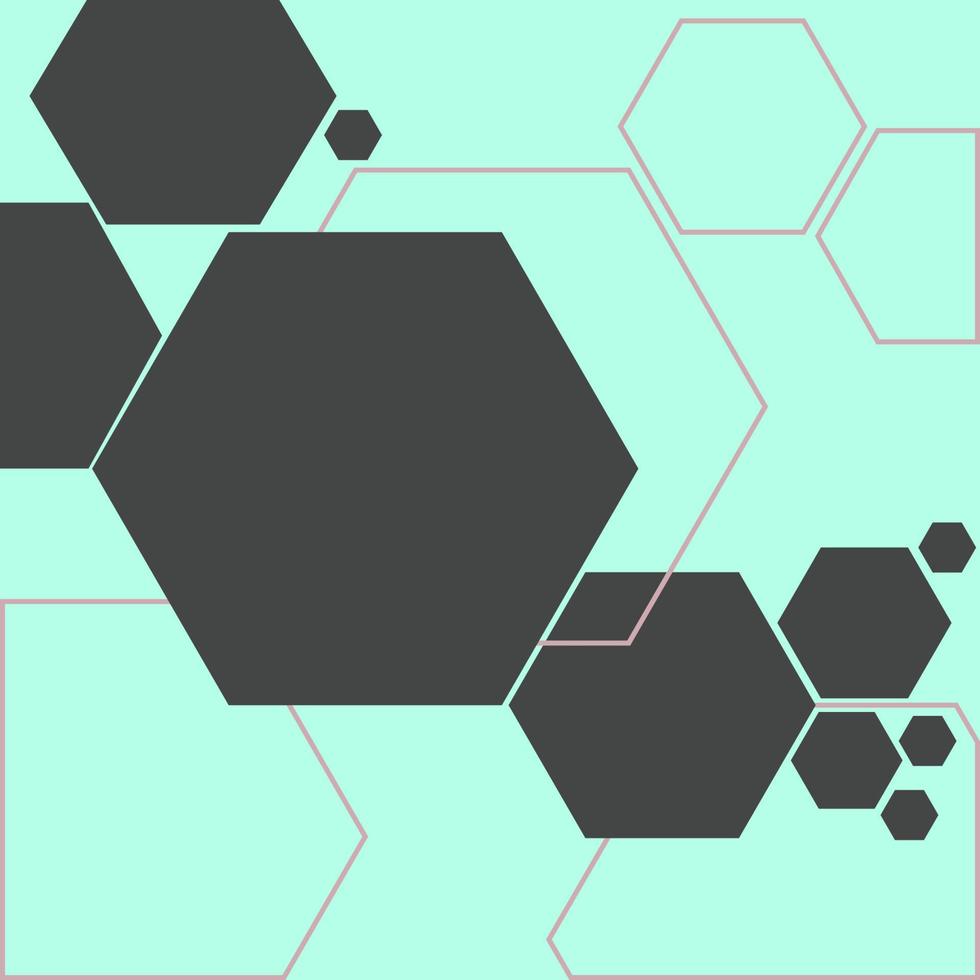 geometric hexagon shapes vector