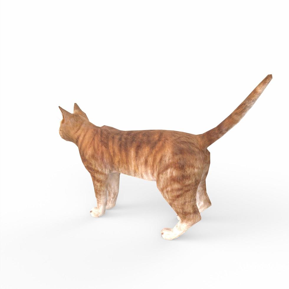 scottish fold cat 3d modelling photo