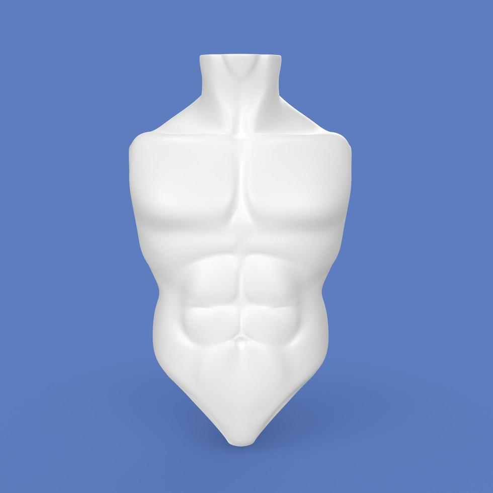 3D Rendering Of Human Torso photo