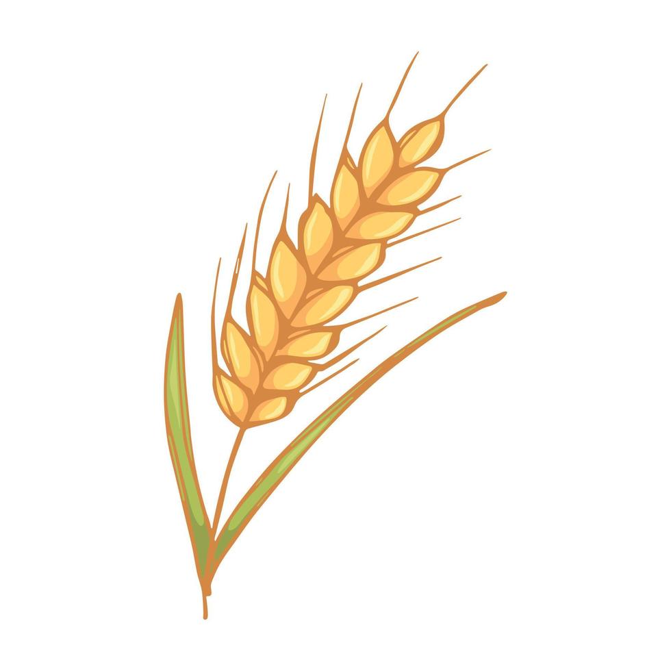 ilustración de garabato de trigo dibujado a mano vectorial. lindo clipart de cosecha. producto del mercado agrícola. vector