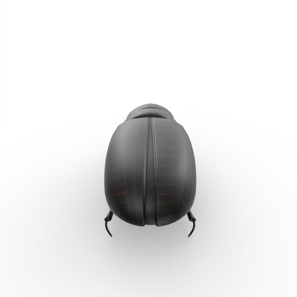 bug isolated on white background photo