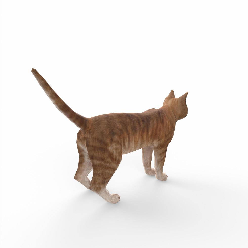 modelado 3d gato escocés fold foto