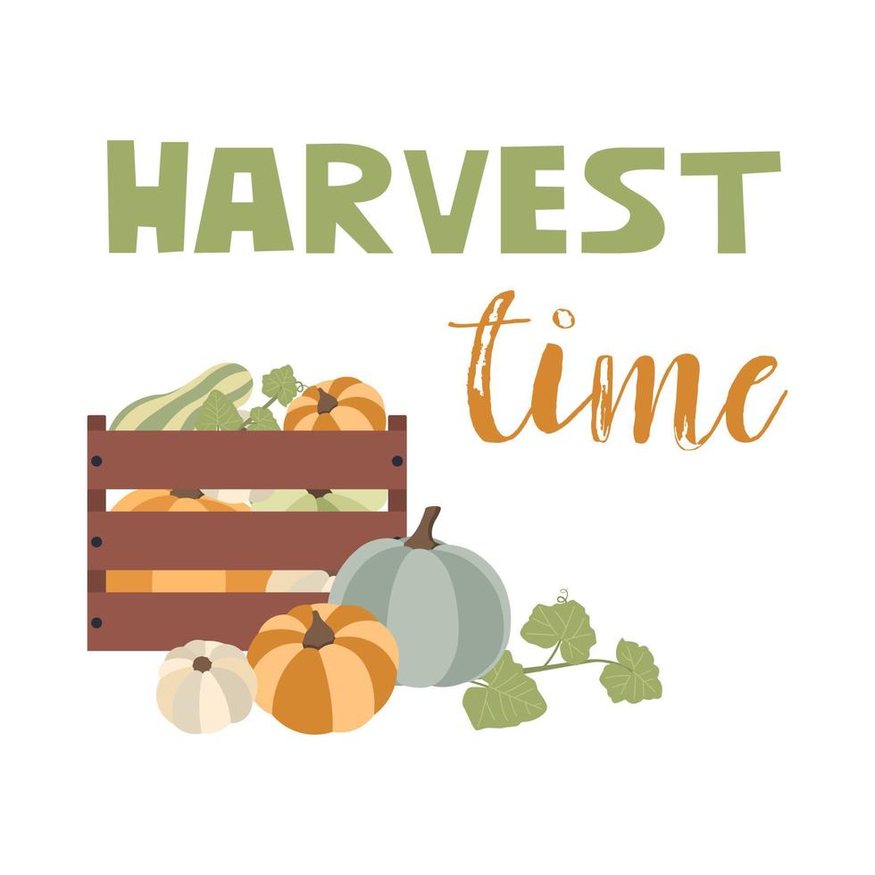 Autumn concept for Harvest festival or Thanksgiving Day. Pumkins with sunflowers and leaves. Background for posters, web, banners, flyers, postcards vector