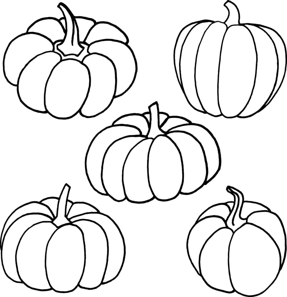 Outline doodle pumpkins set of five vector vegetables isolated