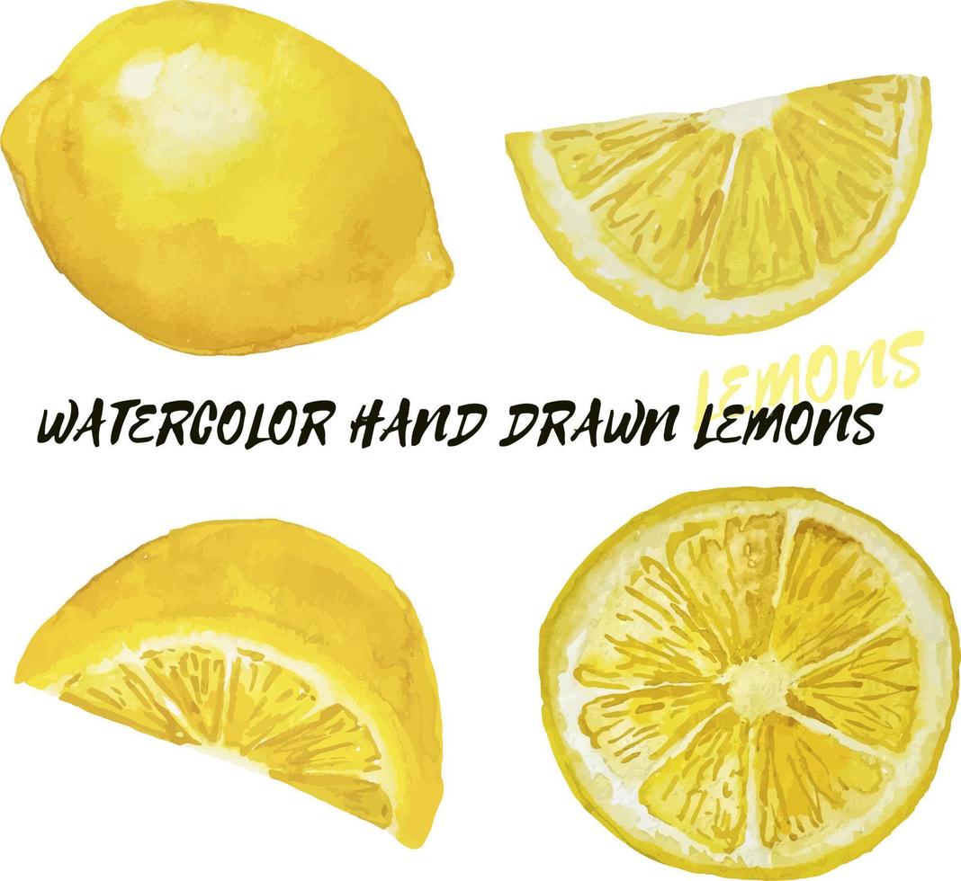 conjunto de limones dibujados a mano con acuarela, elementos de verano frescos de imágenes prediseñadas en el fondo blanco para decoración o impresión vector