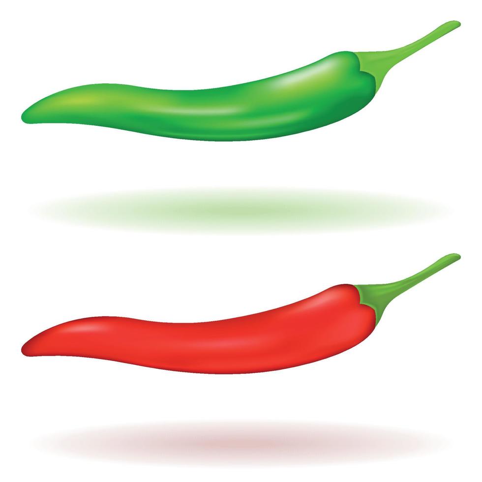 pimiento verde y rojo sobre un fondo blanco, juego de verduras picantes. Ilustración vectorial 3d. eps10 vector