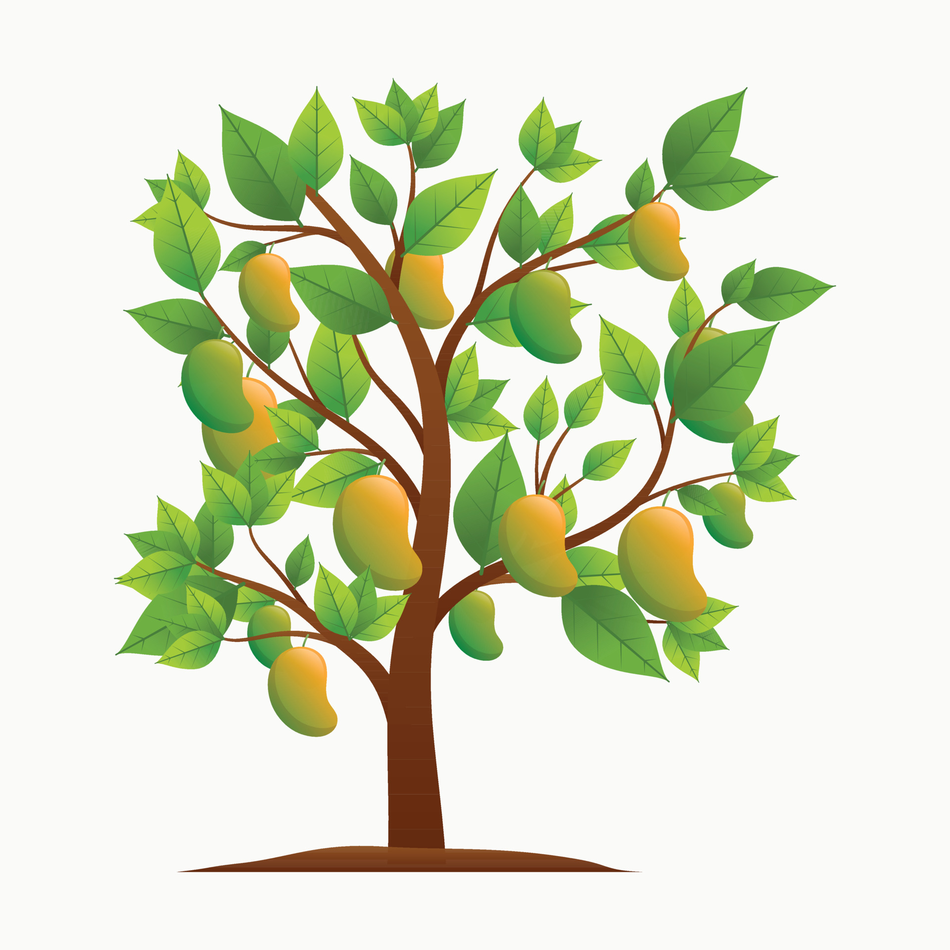 mango tree collection 9214196 Vector Art at Vecteezy