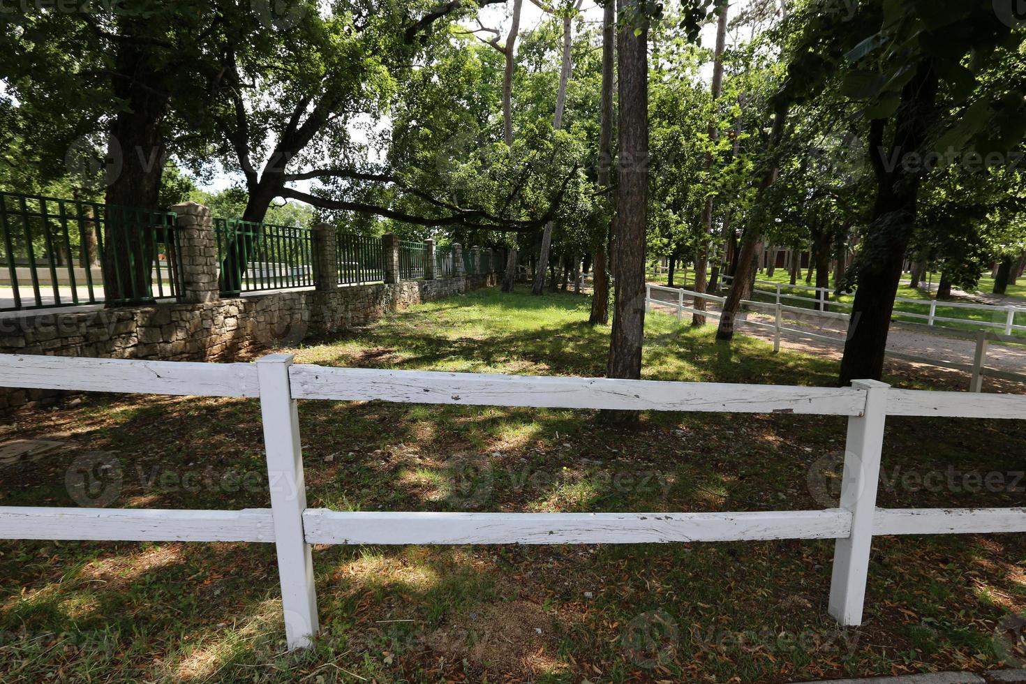 Fence in the city park photo