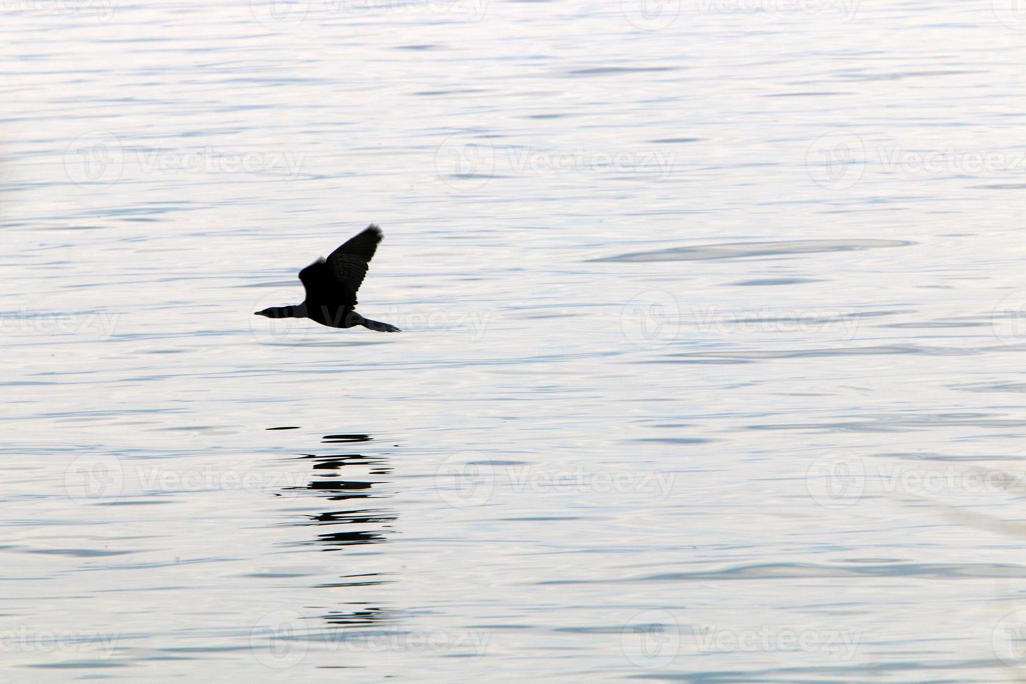 Lake Kinneret is a freshwater lake in northeastern Israel. photo