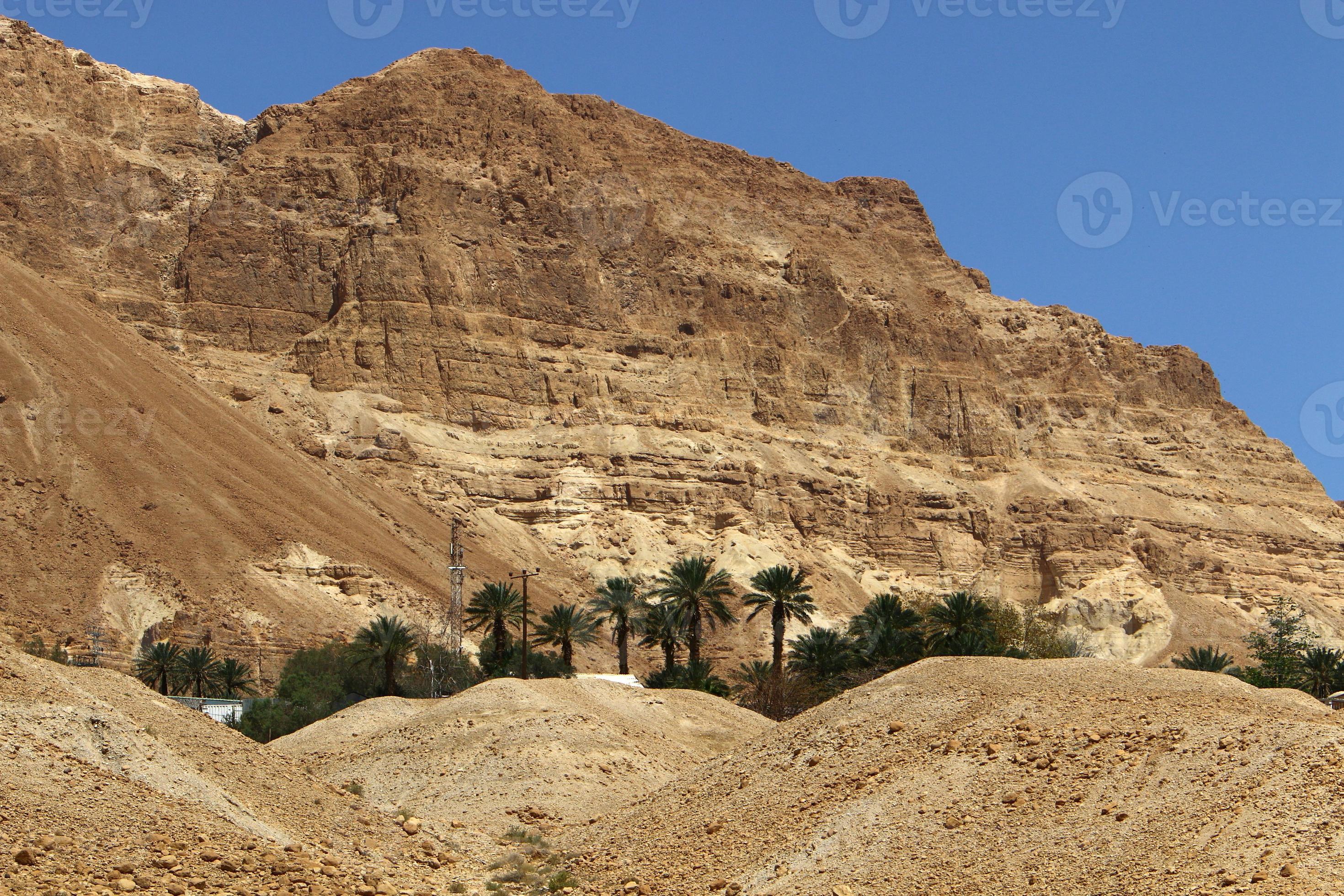 Negev Desert:  Life, Death, And Everything In Between - la4kb5m