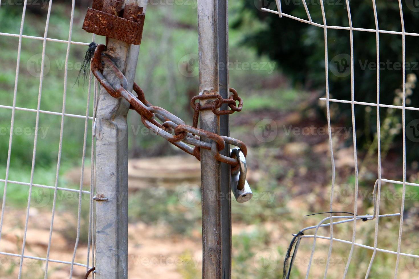 An iron padlock hangs on a closed gate photo