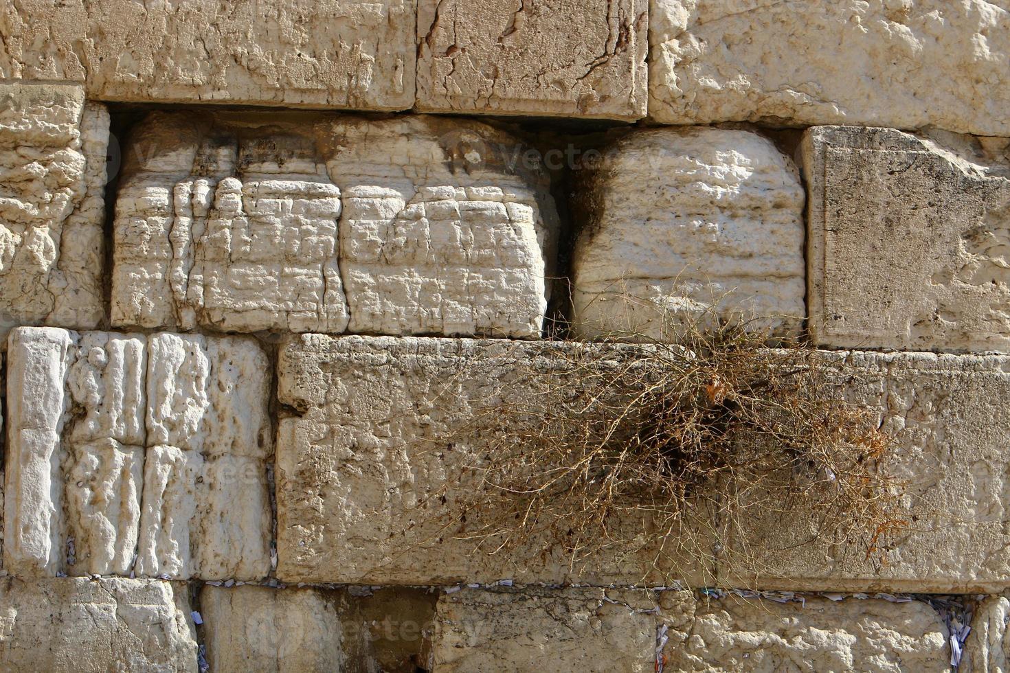 Notes in the Wailing Wall in Jerusalem with their requests and desires addressed to God. photo