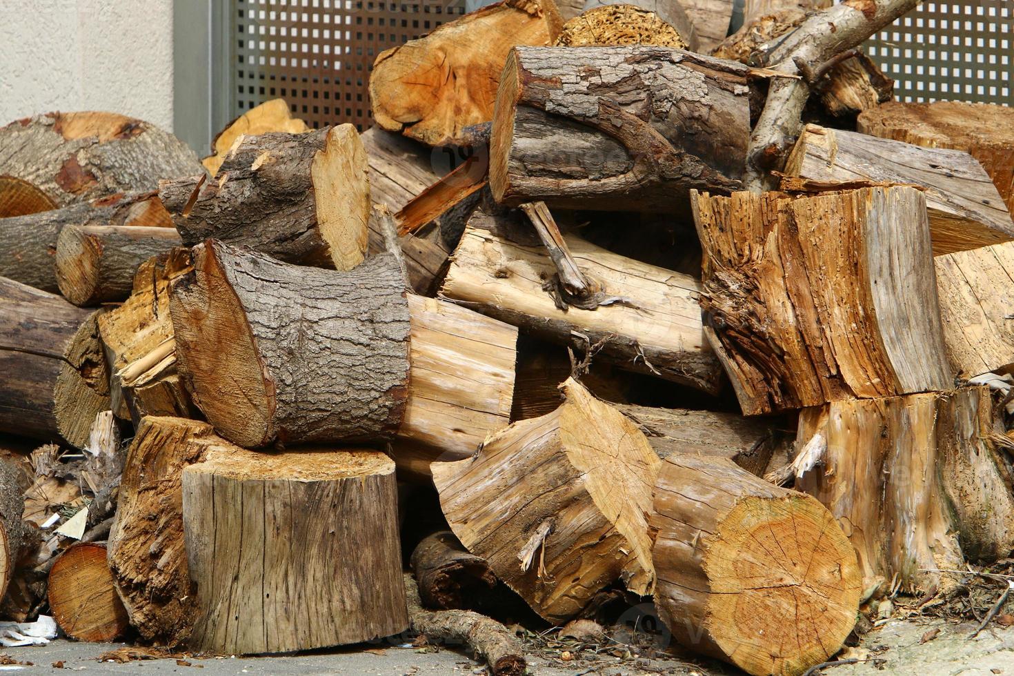 Firewood prepared for the winter photo