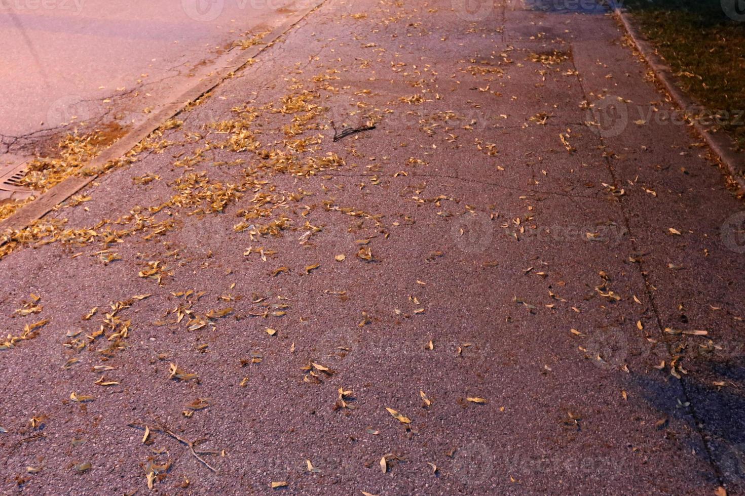 Sidewalk for pedestrians in a big city photo