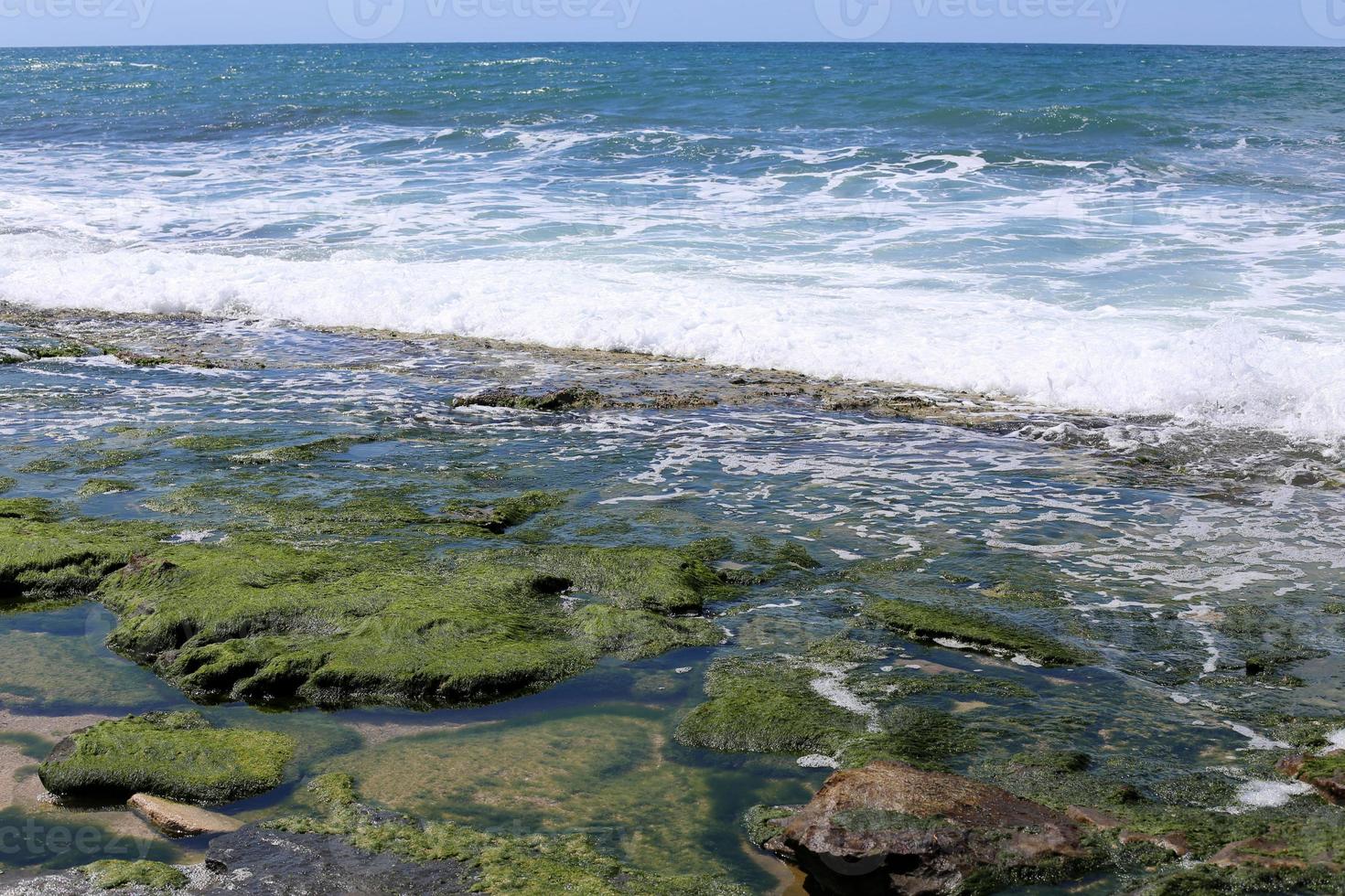 costa mediterránea en el norte de israel foto