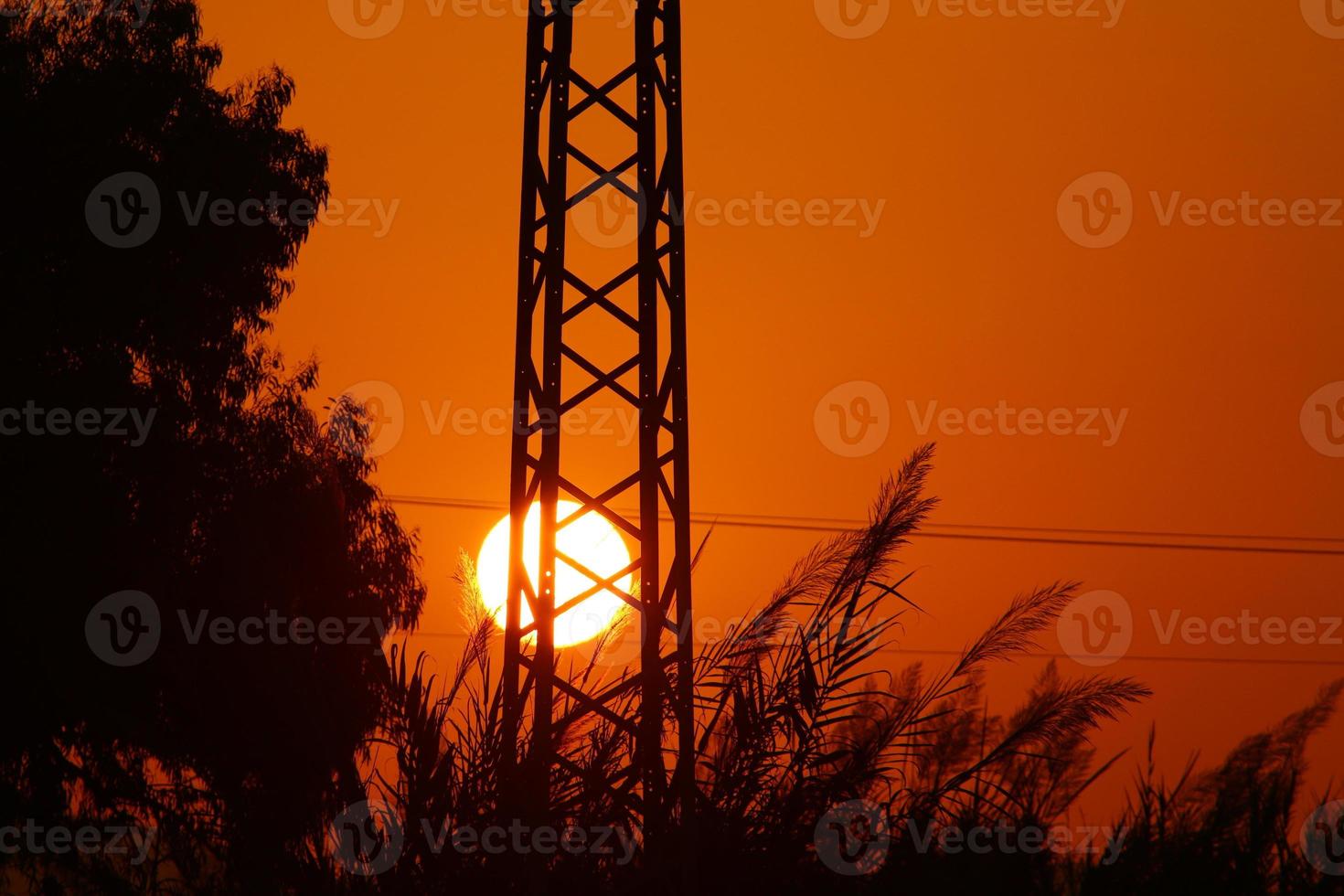 The sun is one of the stars in our galaxy and the only star in the solar system. photo