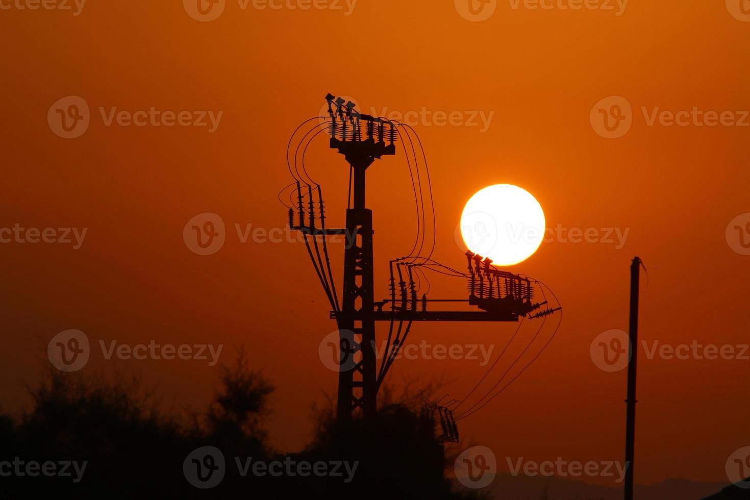 The sun is one of the stars in our galaxy and the only star in the solar system. photo