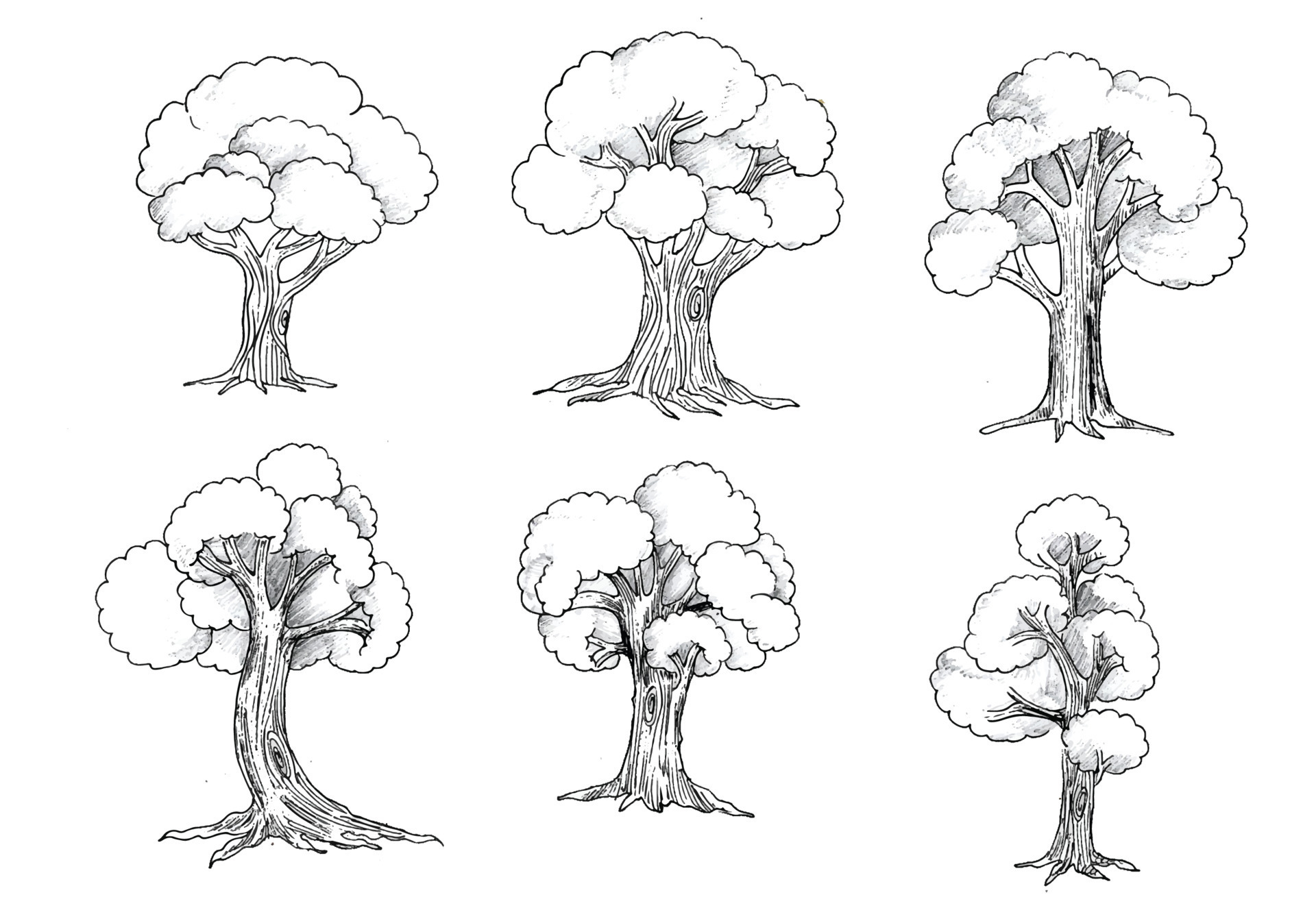 Hand Draw Tree Different In Doodle Stock Illustration - Download Image Now  - Abstract, Bush, Creativity - iStock