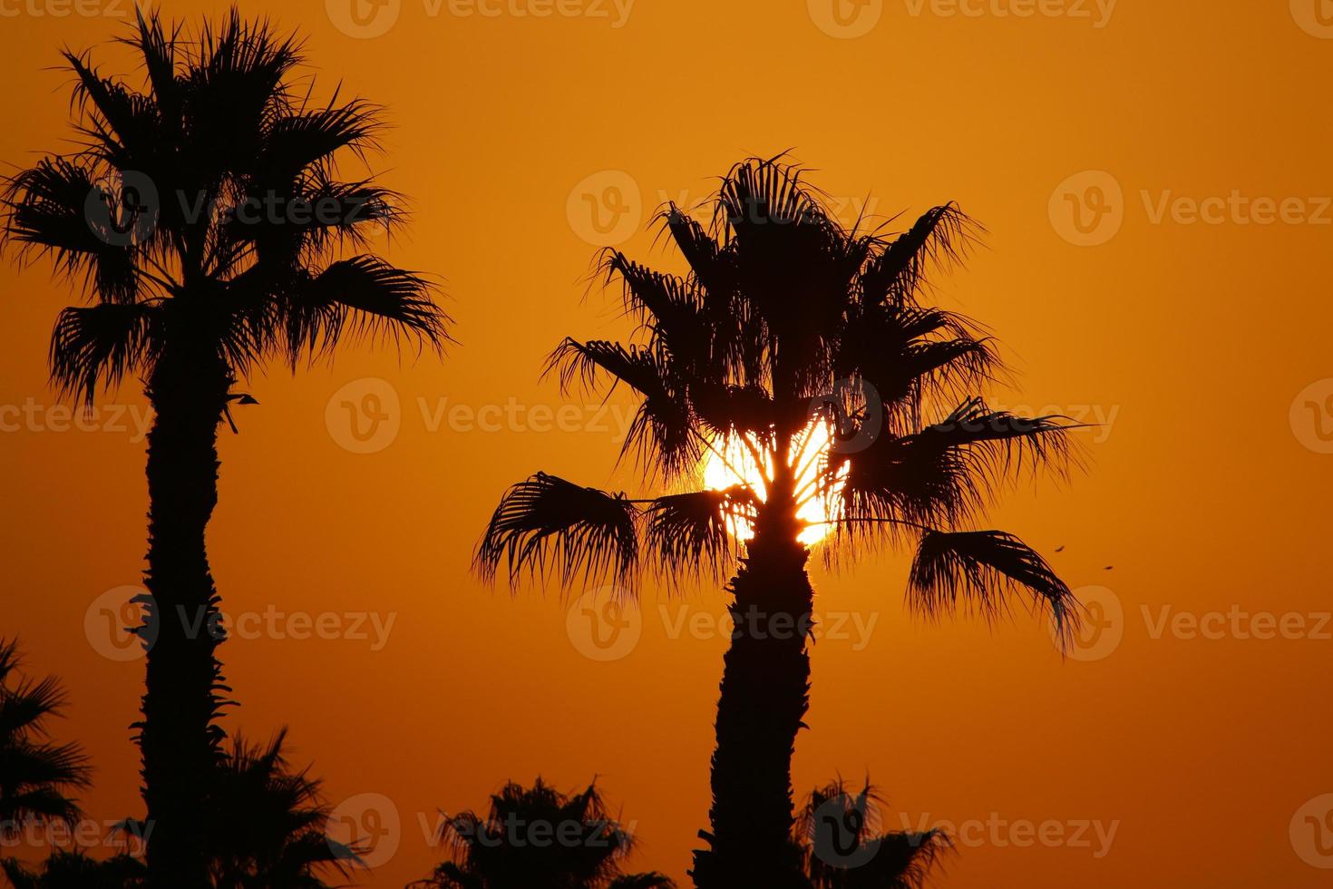 The sun is one of the stars in our galaxy and the only star in the solar system. photo