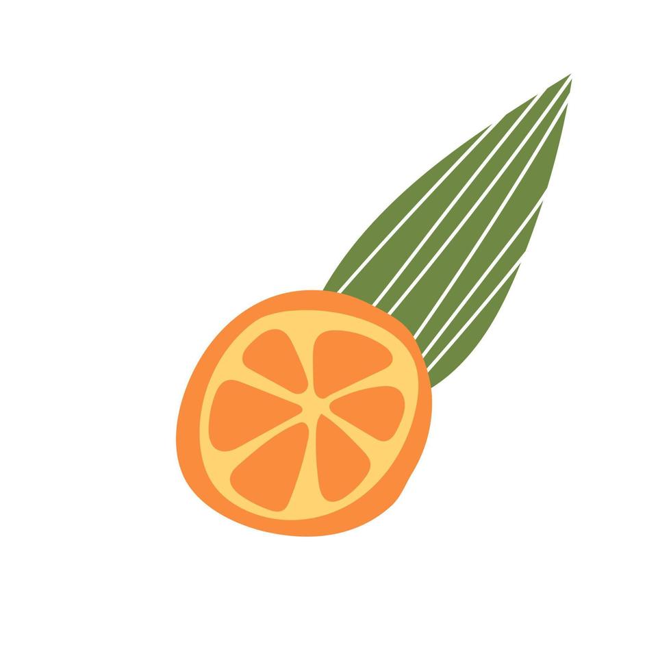 Orange fruit, slice and leaves. Doodle hand drawn vector illustration