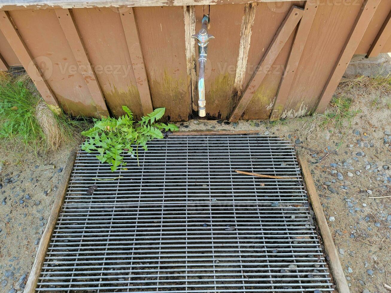 grifo y desagüe de metal o rejilla con malas hierbas o plantas foto