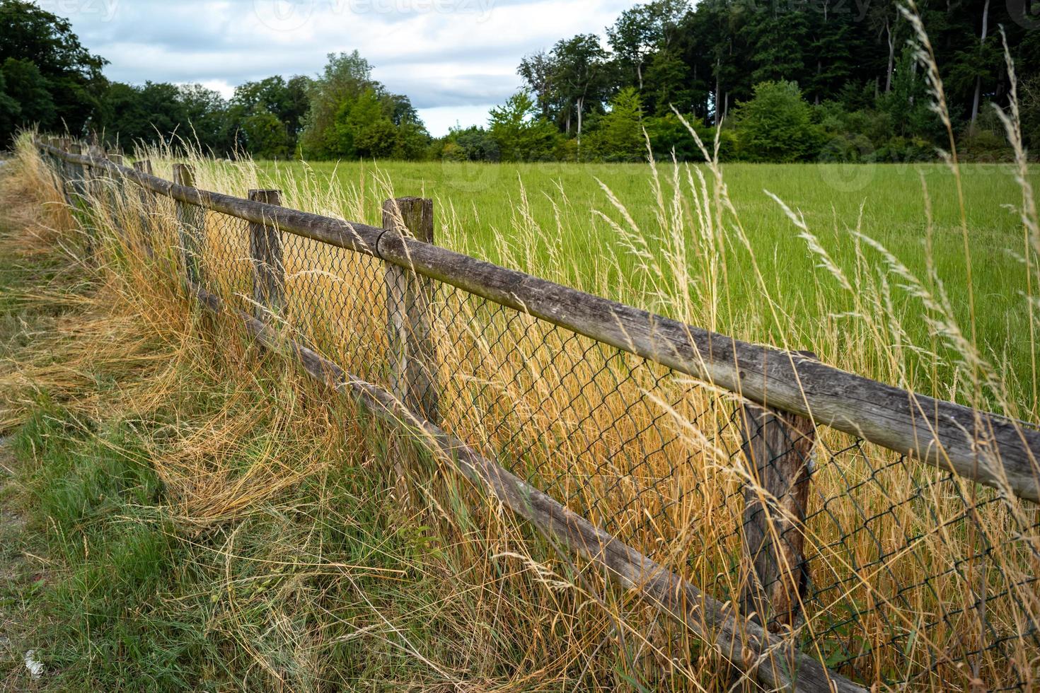 fence in the field in the sun photo