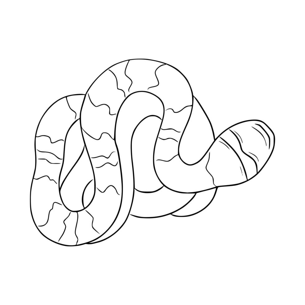 Venomous snake curled up. Vector illustration of a reptile. Reptile in hand-drawn monochrome linear style.