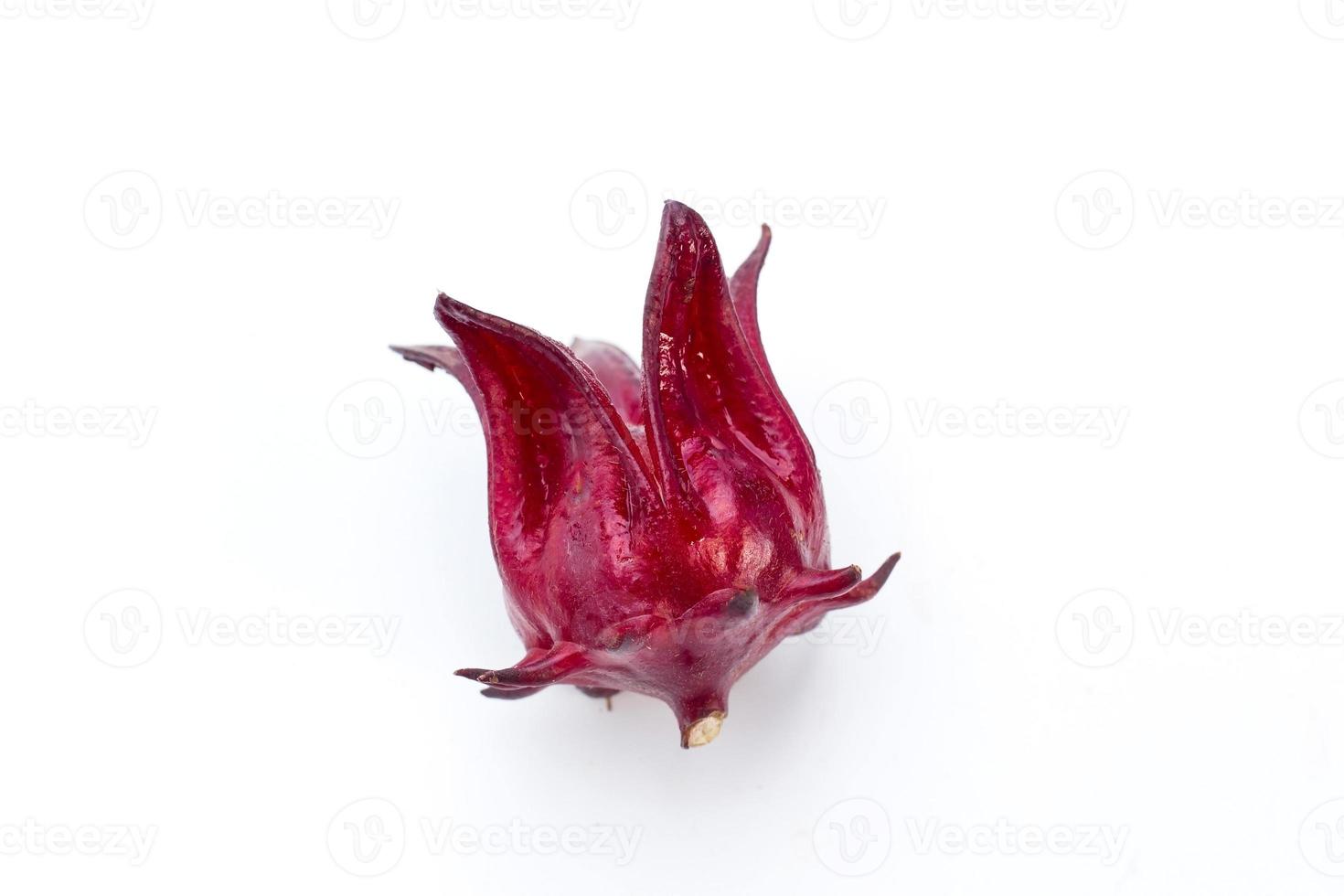 Red raselle is a Thai herb and used as a natural colorant photo