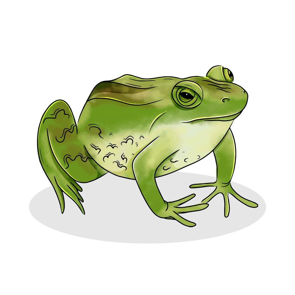 rana pintada en estilo acuarela. icono de reptil, aislado sobre fondo blanco. ilustración vectorial de un sapo. vector