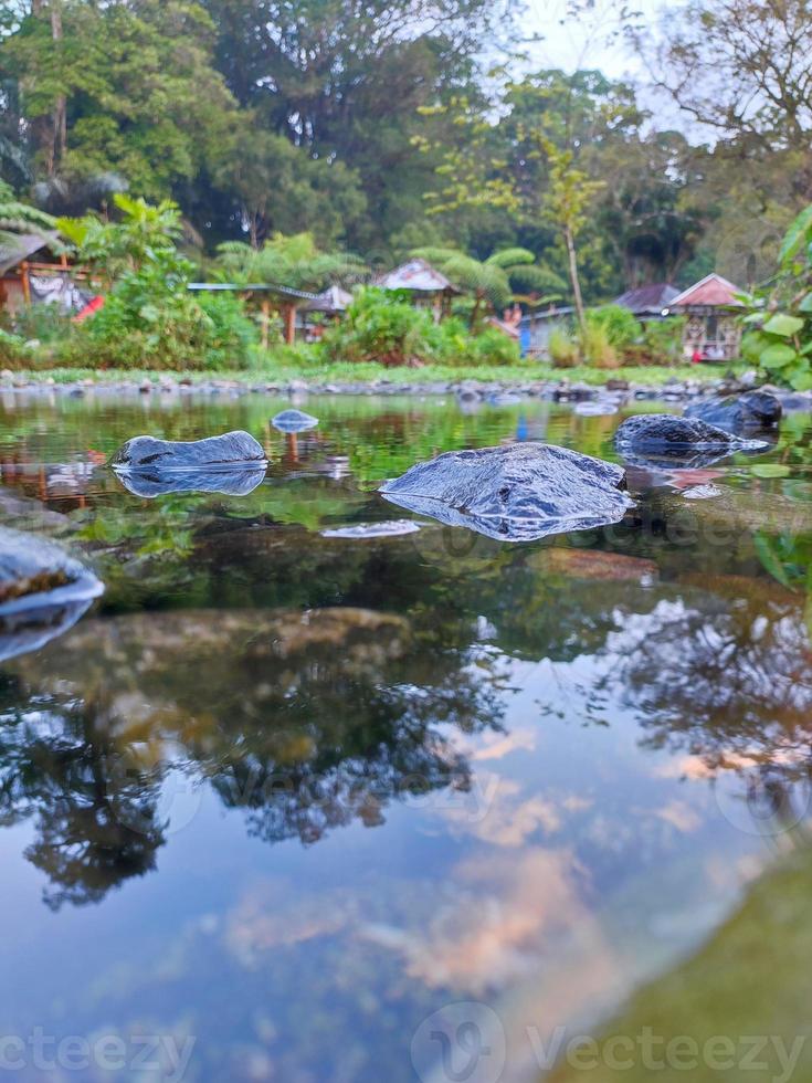 large black stone in a puddle that is not deep photo